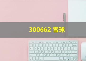 300662 雪球